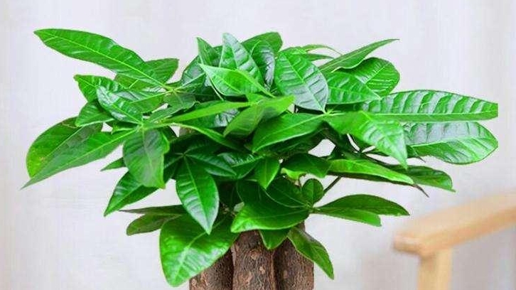 現(xiàn)代辦公室裝修，需要滿足哪些點(diǎn)？